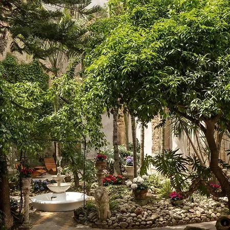 Guest house Artemisia Domus - Giardino *